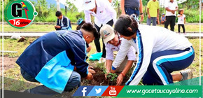 Jornada de arborización en Moyobamba