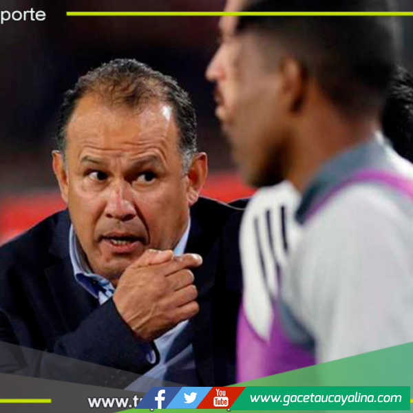 Los números de Juan Reynoso al mando de la bicolor 