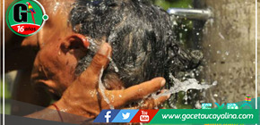 Temperatura récord de 41.4 °C registrada en Tingo de Ponaza, provincia de Picota