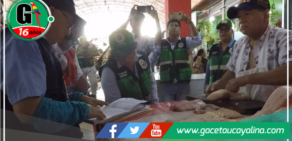 Pucallpa: Advierten que paiche procedente de ríos y lagos será decomisado