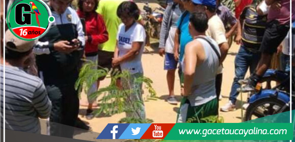 Vecinos del Barrio San Juan actúan rápidamente para recuperar mochila de turista 
