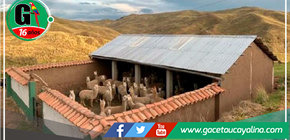 Huánuco cuenta con 86 cobertizos que protegen del frío a ganados