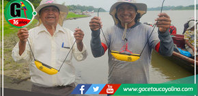 Usarán "pingers", dispositivos para proteger delfines en Ucayali 