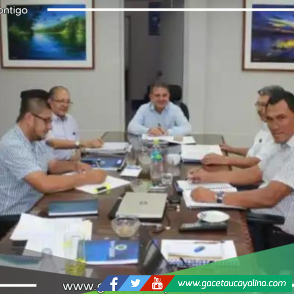 San Martín: gremios y autoridades trabajan en Plan Ganadero Regional