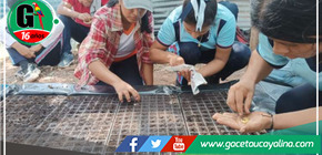 Proyecto de invernadero escolar en colaboración con Villa Toscano en Picota