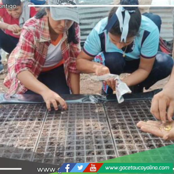 Proyecto de invernadero escolar en colaboración con Villa Toscano en Picota