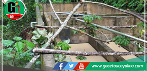 Colapso persistente del sistema de agua potable