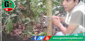 Se colocan 7 cámaras trampa en ACR Cordillera Escalera