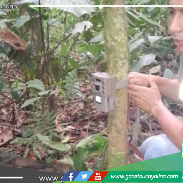 Se colocan 7 cámaras trampa en ACR Cordillera Escalera