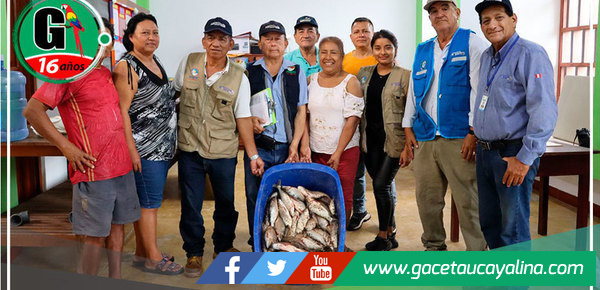 GOREU encabeza operativo contra la informalidad pesquera en Padre Abad 