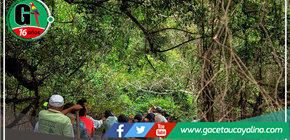 San Martín busca nuevas opciones turísticas para atraer a más visitantes 