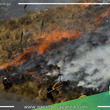 Devastador incendio forestal destruye más de 80 hectáreas 