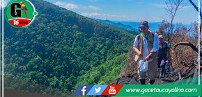 San Martín: reforestan área afectada por incendio forestal