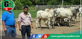 Mesa técnica de ganaderos exige acción inmediata al Gobierno Regional de San Martín