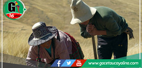 Película cusqueña ‘Kinra’ obtiene el máximo premio en el 38º Festival de Cine de Mar del Plata