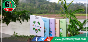 Feria Internacional del Libro Cusco: Cuentos infantiles en lenguas nativas son la sensación 