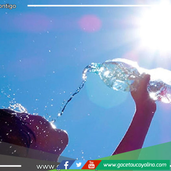 La Selva soportará temperaturas diurnas próximas a los 38 grados 