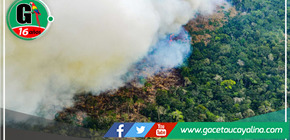 Datos sobre alertas de incendios forestales en estos 11 meses