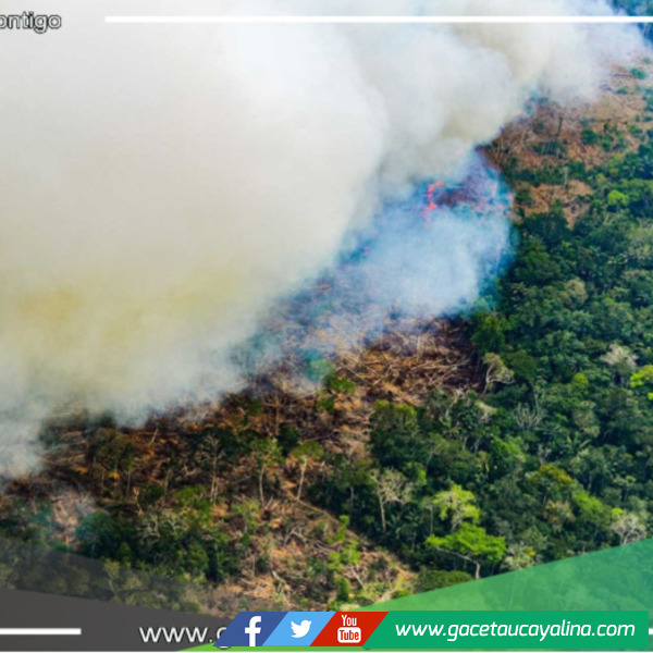 Datos sobre alertas de incendios forestales en estos 11 meses