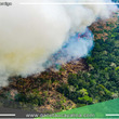 Datos sobre alertas de incendios forestales en estos 11 meses