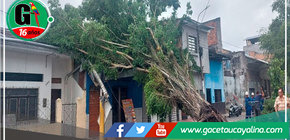 Fuertes vientos dañan techos, provocan caída de árbol en Iquitos