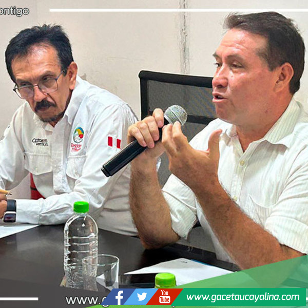 Proyecto “Bosques Amazónicos-ASL2” busca frenar la deforestación en Atalaya