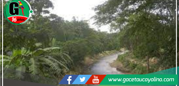 Gobierno Regional y gremios forestales se comprometen a un manejo sostenible de los bosques