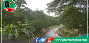 Gobierno Regional y gremios forestales se comprometen a un manejo sostenible de los bosques