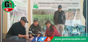 Amazonas y San Martín: Campaña de siembra de pastos y forrajes 2023- 2024