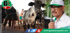 Goresam deja en la incertidumbre a beneficiarios de proyecto ganadero 