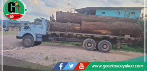 Comunidad de Las Palmeras en Alto Saposoa levanta barricadas contra la tala ilegal de árboles