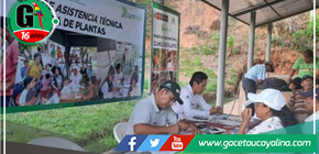 Productores de Tabalosos acogen tecnologías para salvaguardar sus cultivos