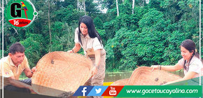 Liberan más de 10,000 crías de taricaya en la Reserva Nacional Pacaya Samiria en Loreto 