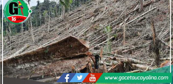 Brecha abismal entre planes y realidad cotidiana amenaza la sostenibilidad Regional