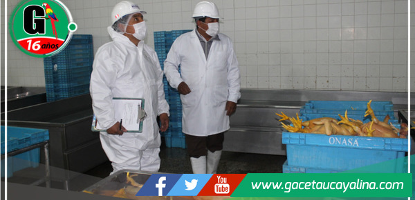 Autoridad policial identifica dos centros de procesamiento de aves con deficiencias de salubridad