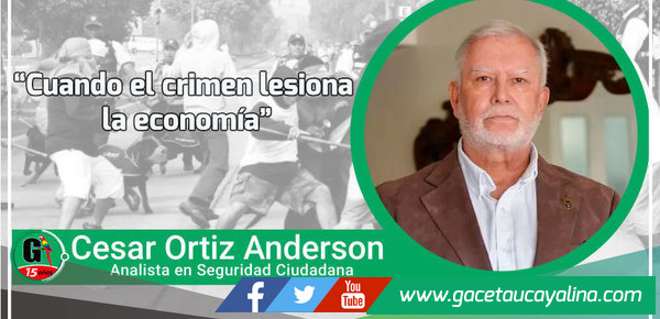 Cuando el crimen lesiona la economía