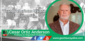 Cuando el crimen lesiona la economía