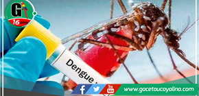 Cusco plantea nuevos estudios sobre el dengue