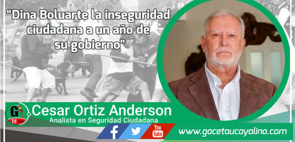 Dina Boluarte la inseguridad ciudadana a un año de su gobierno