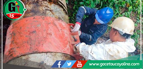 Petroperú denunció nuevo ataque contra el Oleoducto Norperuano