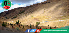 Usan tecnología para detectar tala ilegal en la Amazonía