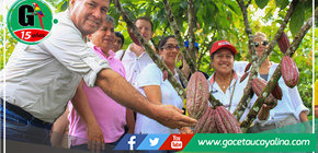 El cacao ucayalino ejemplo de desarrollo sostenible para la recuperación de los suelos degradados