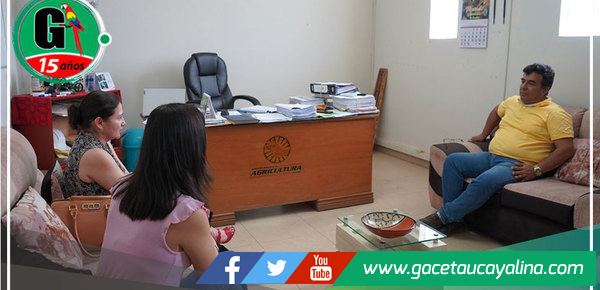 Agua y desagüe de Av. La Marina viene siendo gestionada por gestión de alcaldesa Janet Castagne