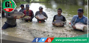 Ucayali es sede de taller para la definición del Plan de acción del Consejo Amazónico de Desarrollo Acuícola y Pesquero