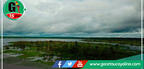 Programa “Bosques Productivos y Sostenibles” garantizará origen legal de productos forestales de la región  