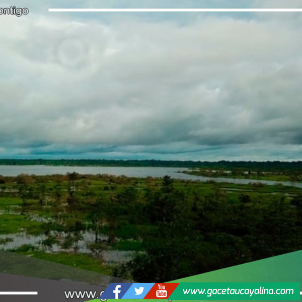 Programa “Bosques Productivos y Sostenibles” garantizará origen legal de productos forestales de la región  