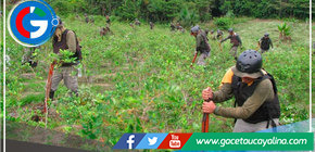 Aprobaron plan de actividades del proyecto Corah para el 2023