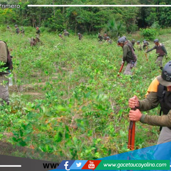 Aprobaron plan de actividades del proyecto Corah para el 2023