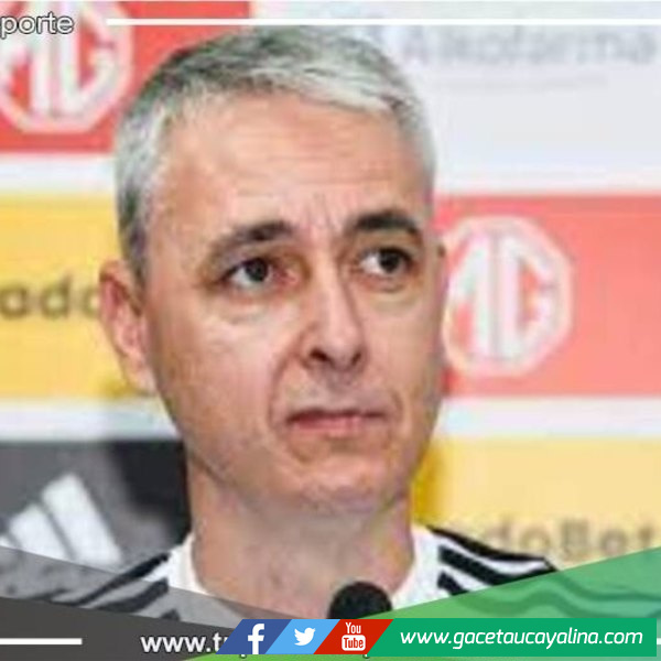 La continuidad de Tiago Nunes en suspenso