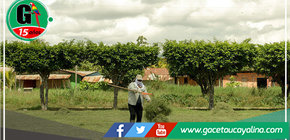 Municipalidad de Manantay realiza limpieza en parques de los AA.HH. y zona urbana 